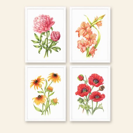 Four floral illustrations: pink peonies, orange gladiolus, yellow coneflowers, and red poppies.